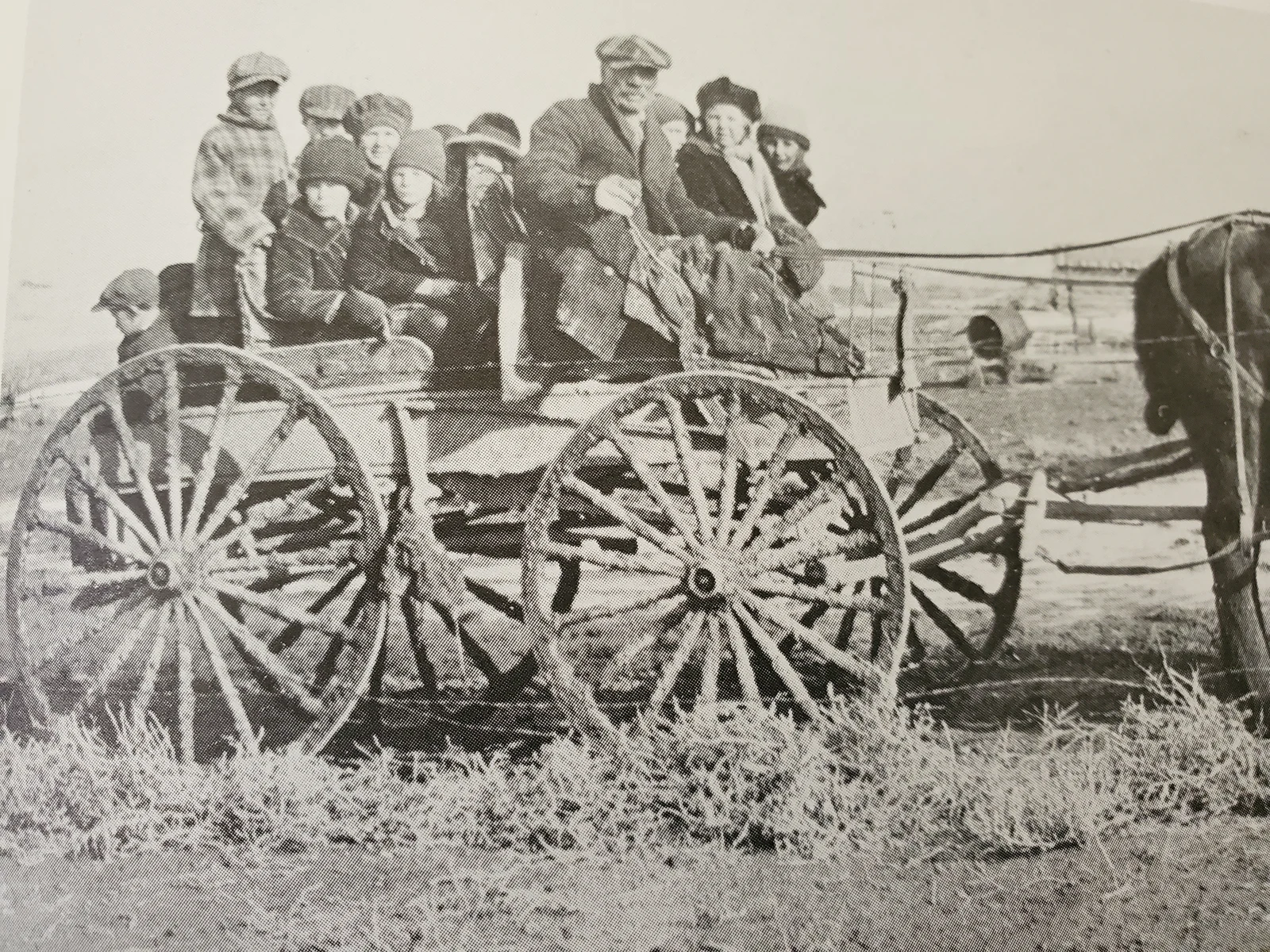 Children riding the horse-drawn Pauline school bus, from the Arbon Valley historical collection