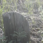 DSCF0480