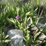 DSCF0483