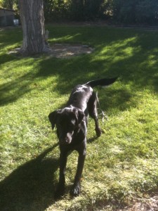 photo (5)