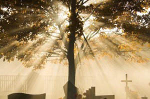 Memorial