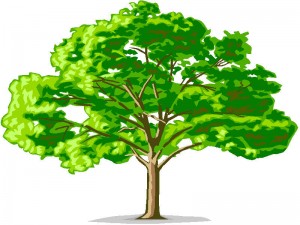familytree